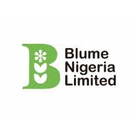 Senior Data Analyst – FMCG