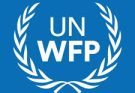 Consultant Programme Policy Officer