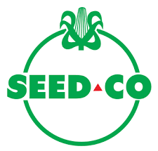 Graduate Trainee (Audit)