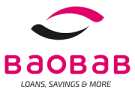 Senior Treasury Officer (STO)