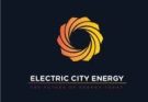 Technical Project Manager
