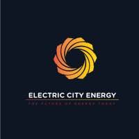 Technical Project Manager