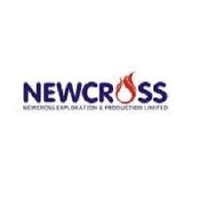 Internal Audit Analyst