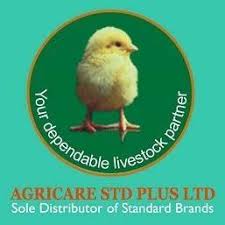 Internal Control / Auditor