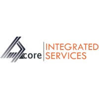 Business Solutions Analyst