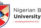 Data Analyst