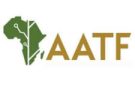Finance Associate