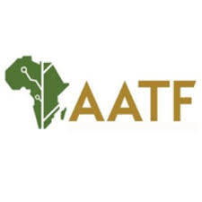 Finance Associate