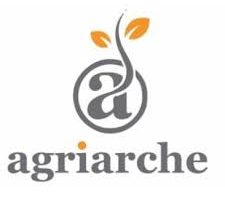 Data Analyst (Intern)