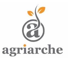 Data Analyst (Intern)