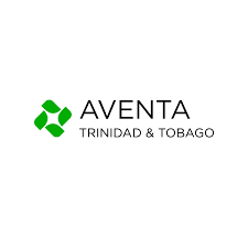 Junior Machine Learning Engineer - AI Agents & AI Data Analysis