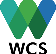 Human Resources Intern