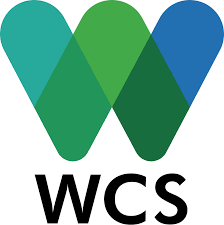 Human Resources Intern