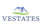 Business / Data Analyst