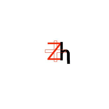 Senior Medical Officer