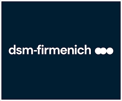 Internship Trainee