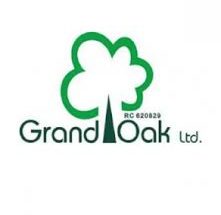 Assistant Business Analyst
