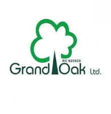 Assistant Business Analyst