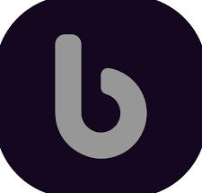 Junior Digital Marketer