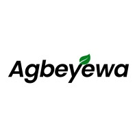 Data Analyst